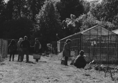 School garden community photo